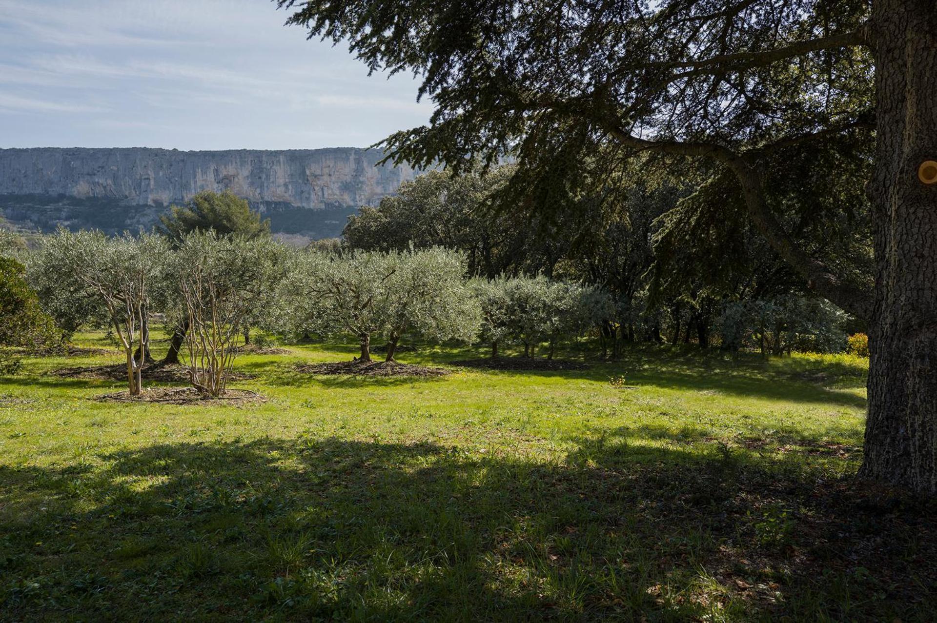 Les Cistes Villa Lioux Eksteriør bilde